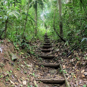 Panama