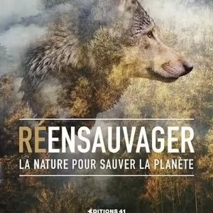 Nos sources d’inspiration