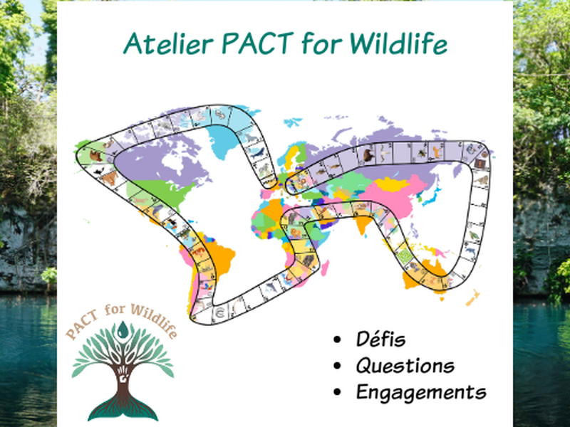 Des ateliers de sensibilisation