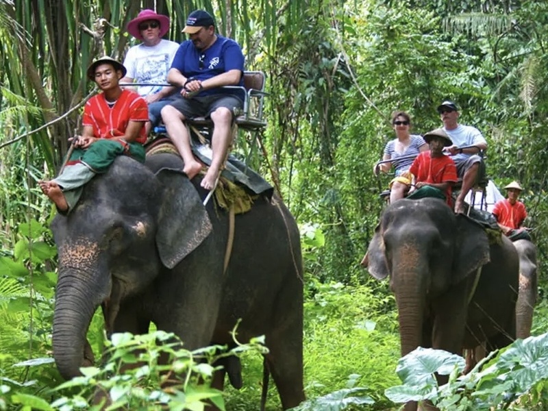 Monter sur des animaux