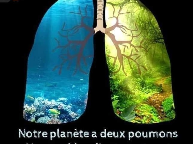 Prendre conscience de son impact
