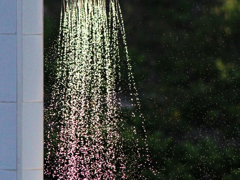 Surexploitation des ressources