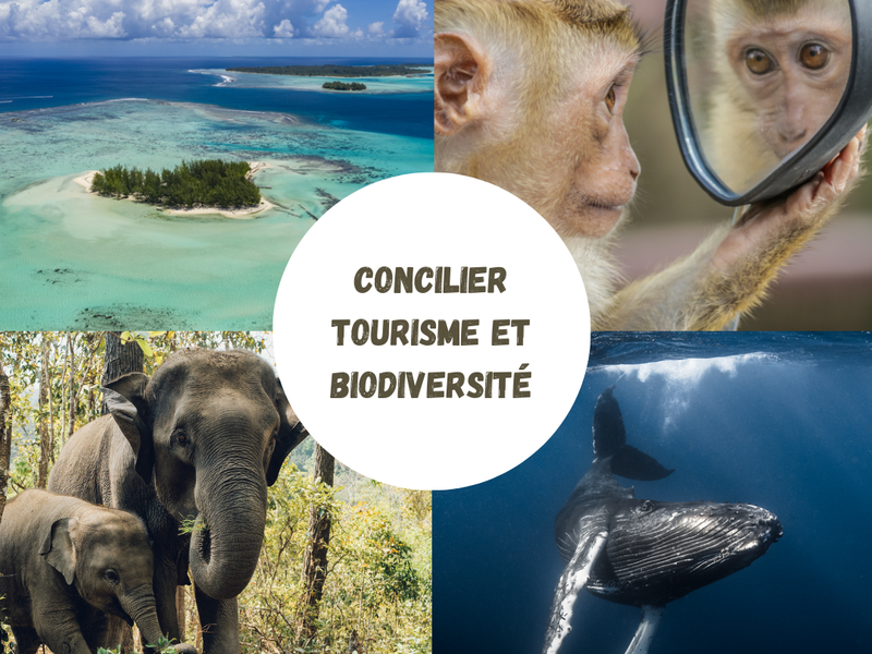 Nos formations