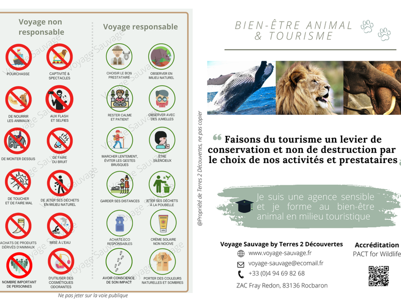 Flyer de prévention faune sauvage