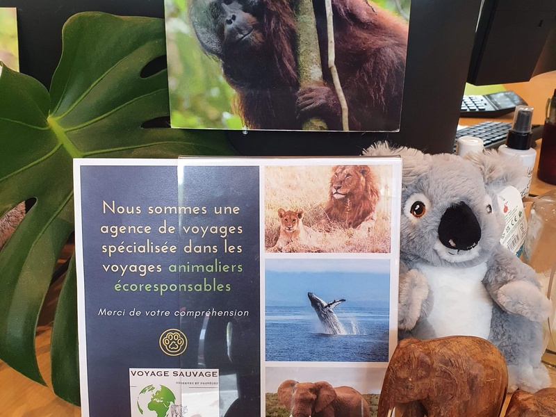 Concilier tourisme et bien‑être animal