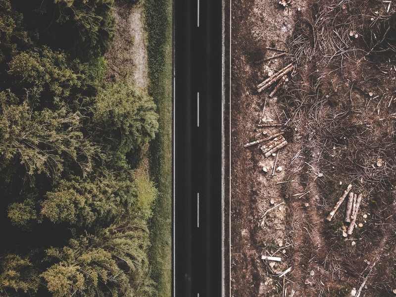 Réduction des habitats