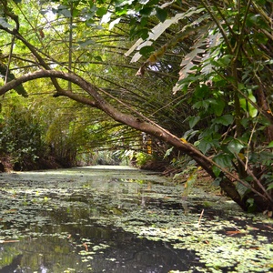 Costa Rica