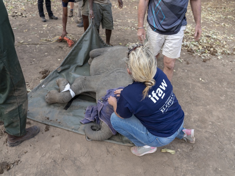 Visite de sanctuaires et refuges
