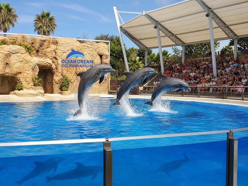 Delphinarium · Aquarium · Lagoonarium