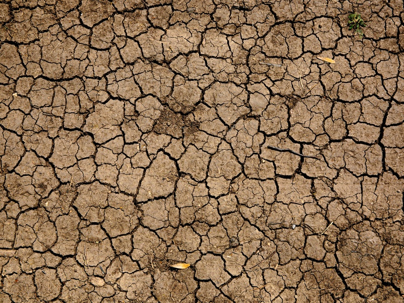 Changement climatique