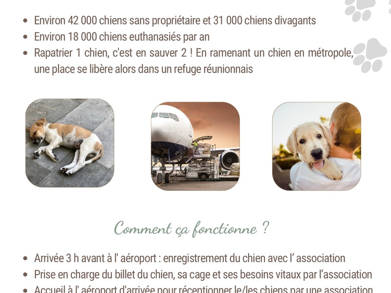 Adoption des chiens