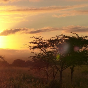 Afrique du Sud