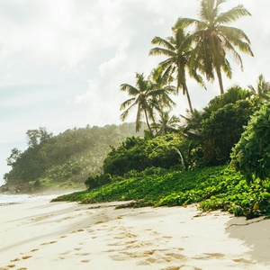 Paradis sauvage