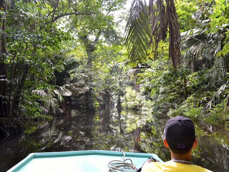 Proposer une offre ecotouristique