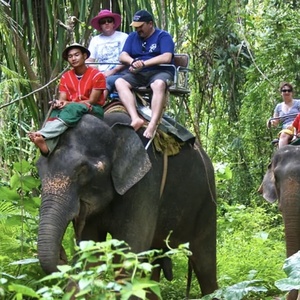 Monter sur des animaux
