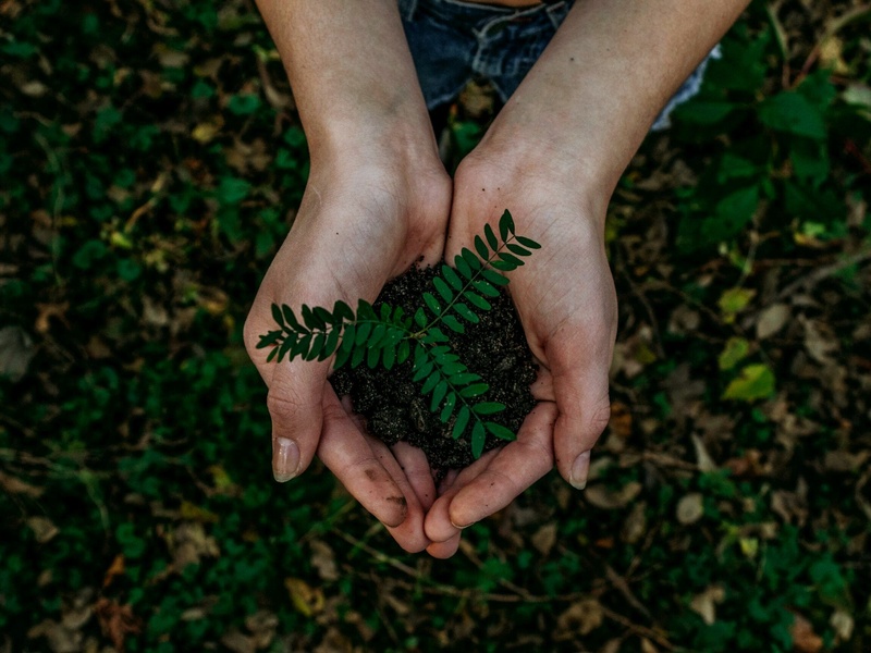 Créer un impact positif