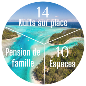 3 351 € (14N) / 3 214 € (12N)