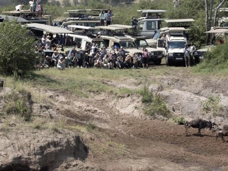 Mauvais comportements 