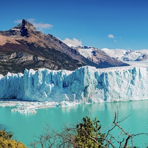 Argentine