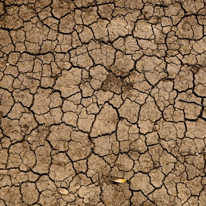 Changement climatique