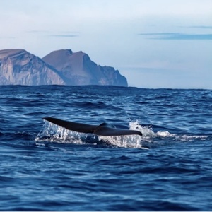 Les Açores