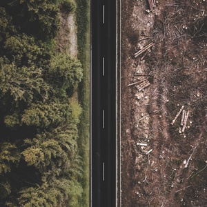 Réduction des habitats