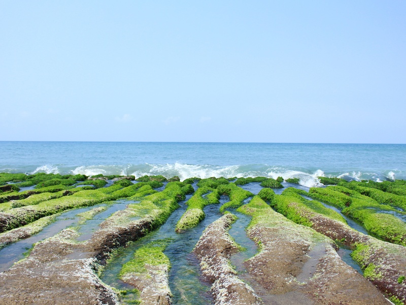 Prélèvements &amp; introductions