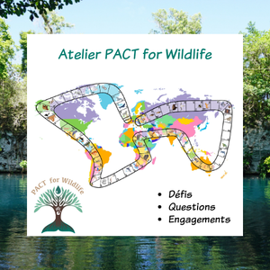 Atelier PACT for Widlife