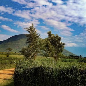 Ouganda